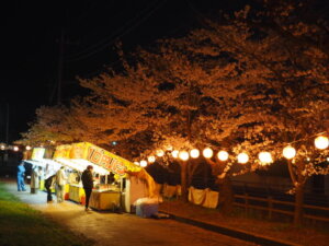 足利公園：夜桜の写真です。