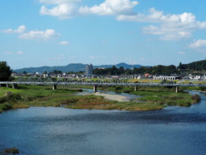 中橋アーチ頂上から臨む足利市の風景写真です。