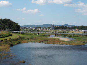 中橋アーチ頂上から臨む足利市の風景写真です。