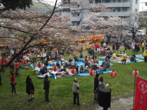 足利公園桜まつりの写真です。