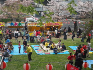 足利公園桜まつりの写真です。