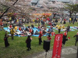 足利公園桜まつりの写真です。