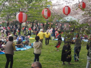 足利公園桜まつりの写真です。