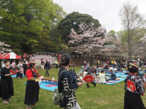 足利公園桜まつりの写真です。