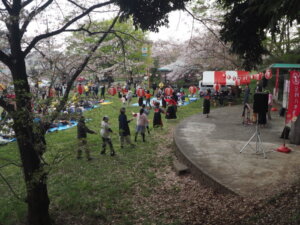 足利公園桜まつりの写真です。