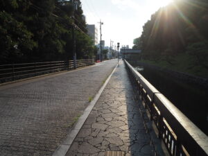 鑁阿寺山門に向かう歩道の写真です。