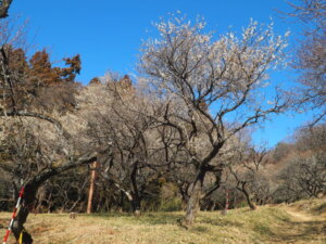 西渓園の写真です。