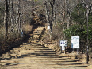 登山道の階段の写真です。