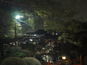 足利織姫神社の夜桜の写真です。