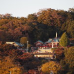 渡良瀬橋から見た織姫神社の写真です。