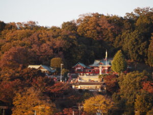 渡良瀬橋から見た織姫神社の写真です。