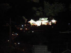 渡良瀬橋から見る夜の織姫神社の写真です。