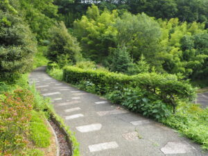 織姫公園：石畳の遊歩道の写真です。