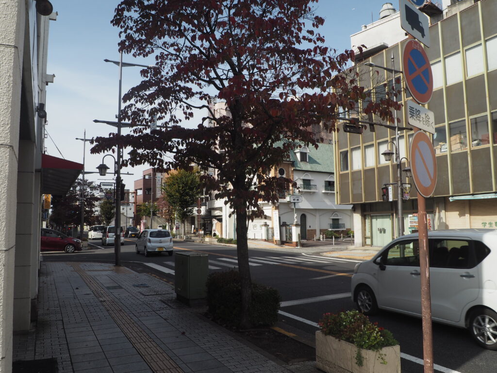 バス停側の歩道の写真です。