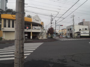 足利市駅南交差点の横断歩道の写真です。