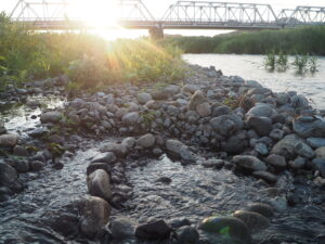 渡良瀬橋の川原で見る夕日の写真です。